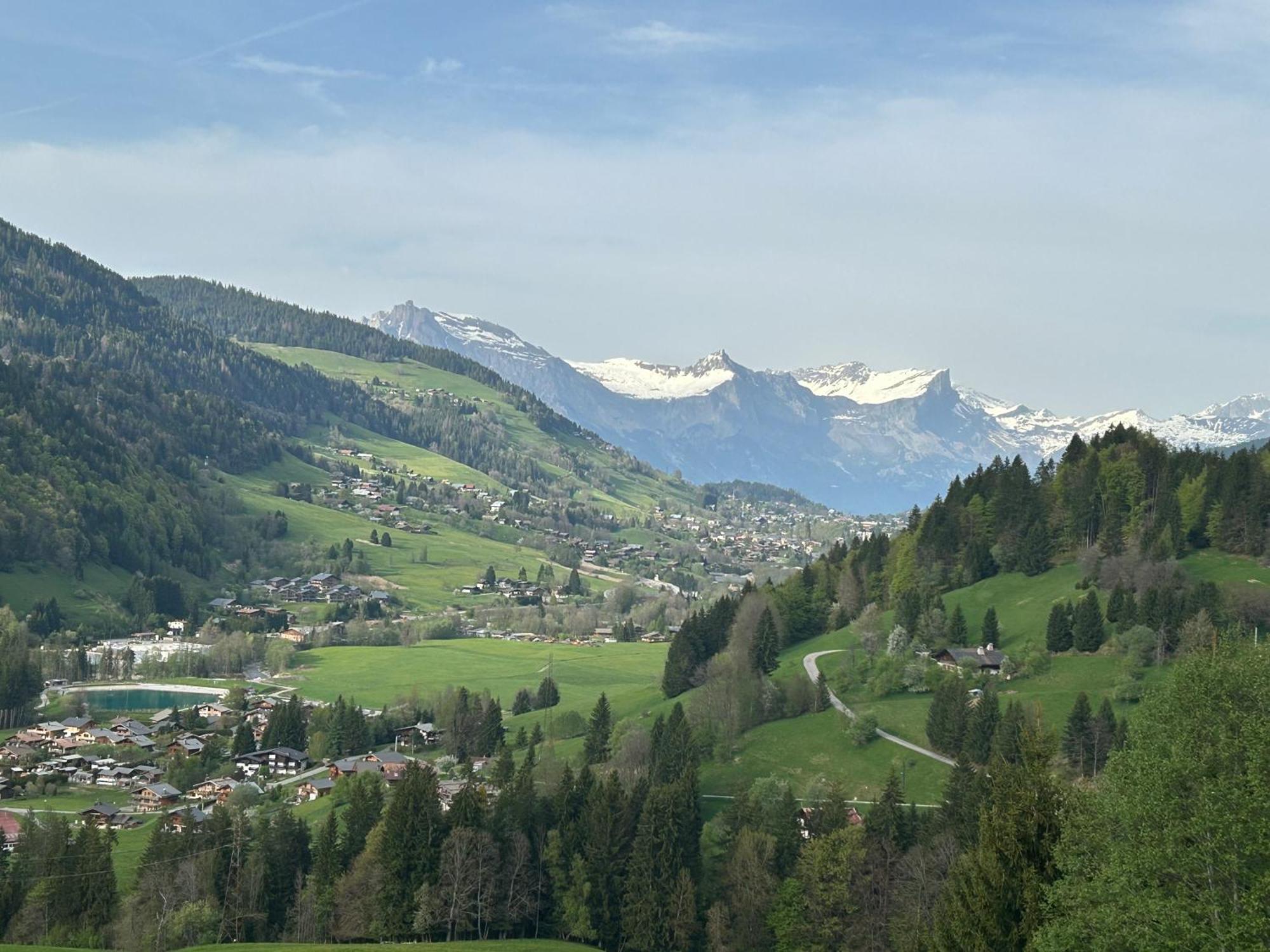 Chalet Saint Victor, Praz Sur Arly Exterior photo